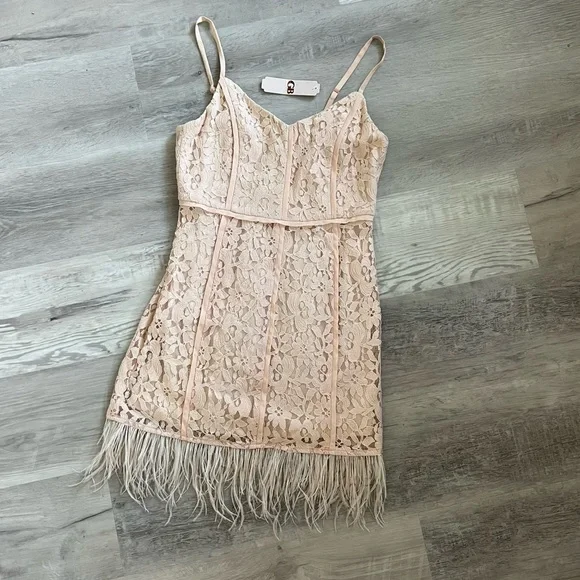 NWT GB Lace Feather Trim dress